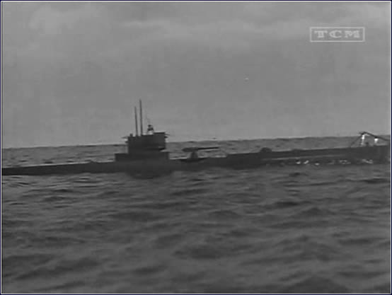 Dangerously they live